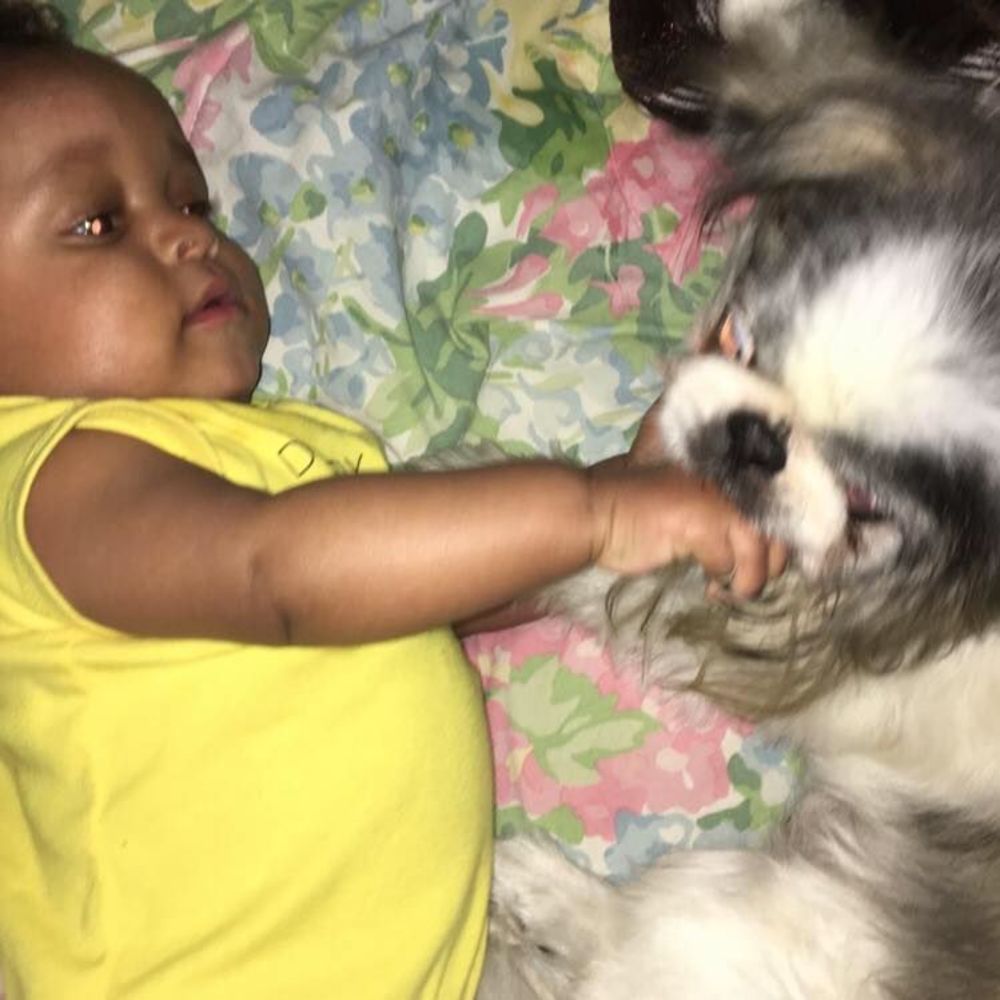 Meet your Posher, Mike